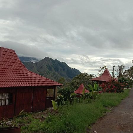 Home Stay Wolokoro Ecotourism Bajawa Eksteriør billede