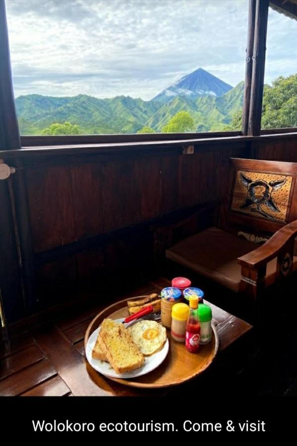Home Stay Wolokoro Ecotourism Bajawa Eksteriør billede