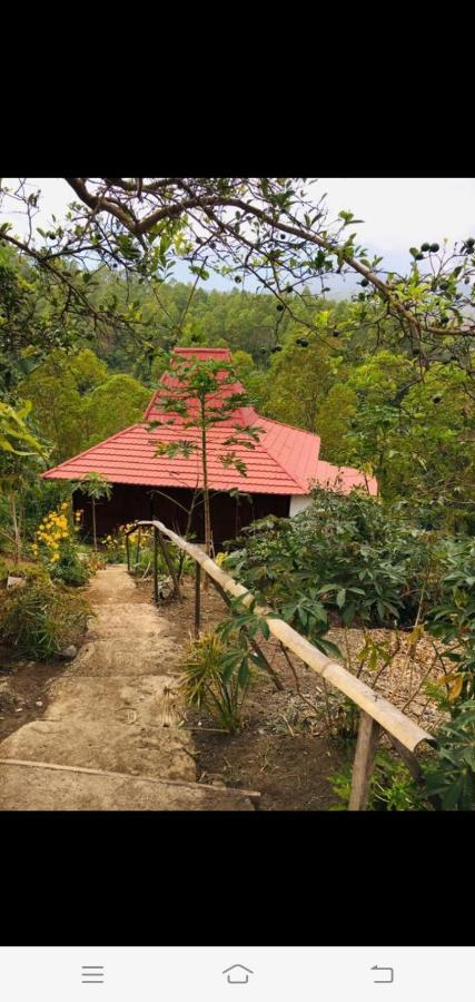 Home Stay Wolokoro Ecotourism Bajawa Eksteriør billede