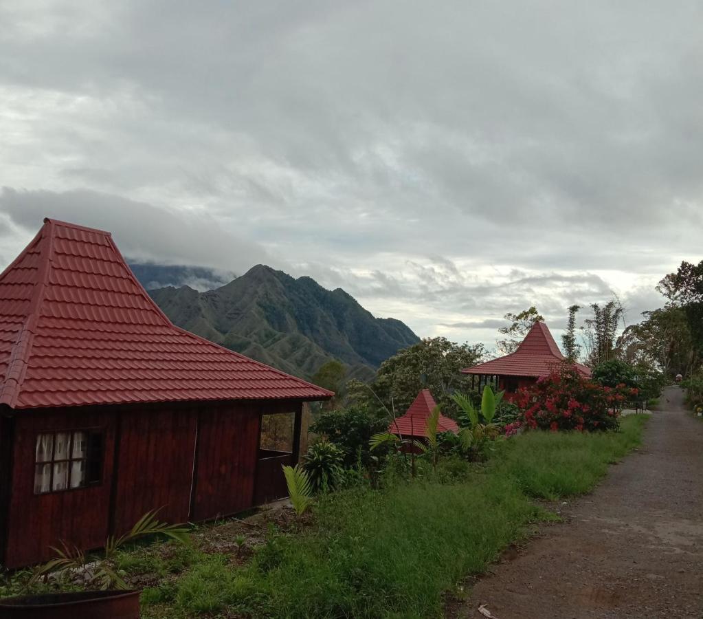 Home Stay Wolokoro Ecotourism Bajawa Eksteriør billede