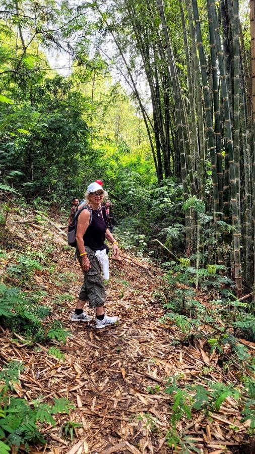 Home Stay Wolokoro Ecotourism Bajawa Eksteriør billede