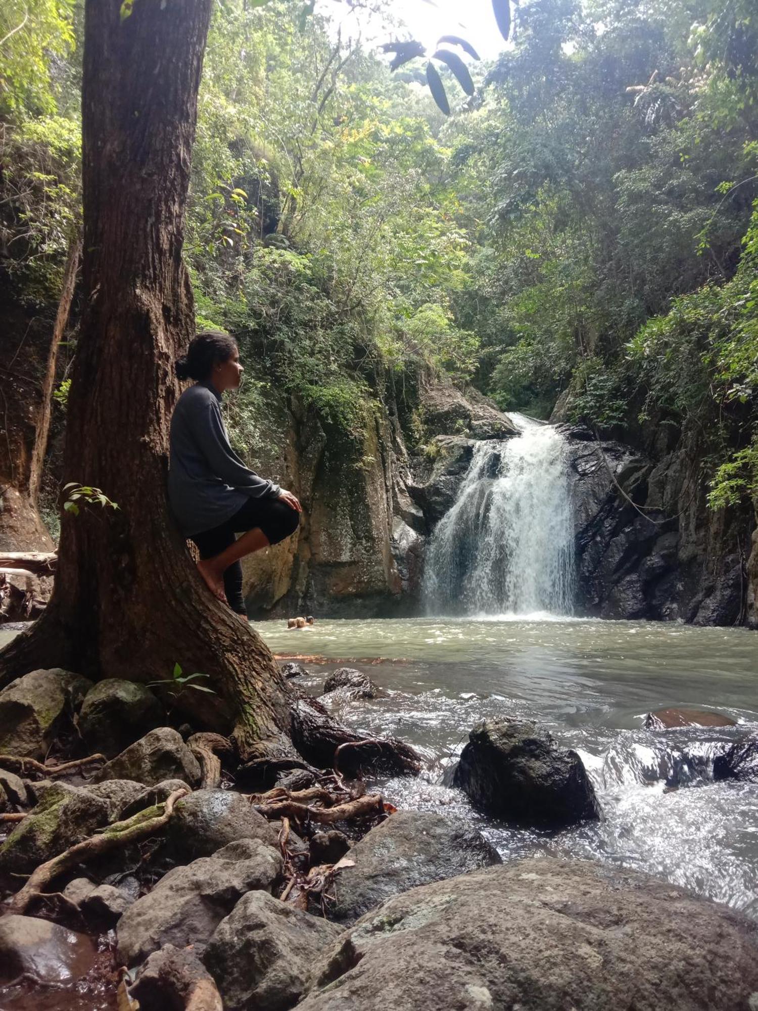 Home Stay Wolokoro Ecotourism Bajawa Værelse billede
