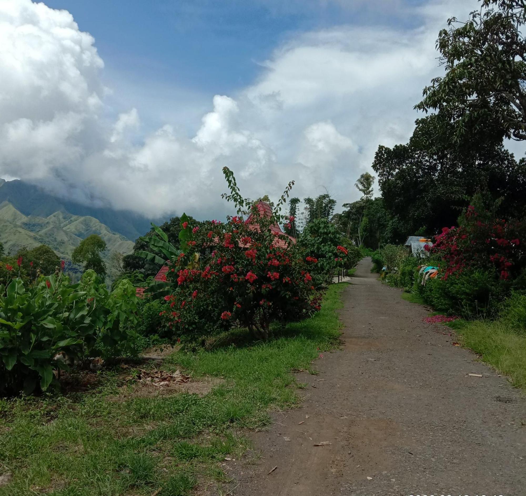Home Stay Wolokoro Ecotourism Bajawa Værelse billede