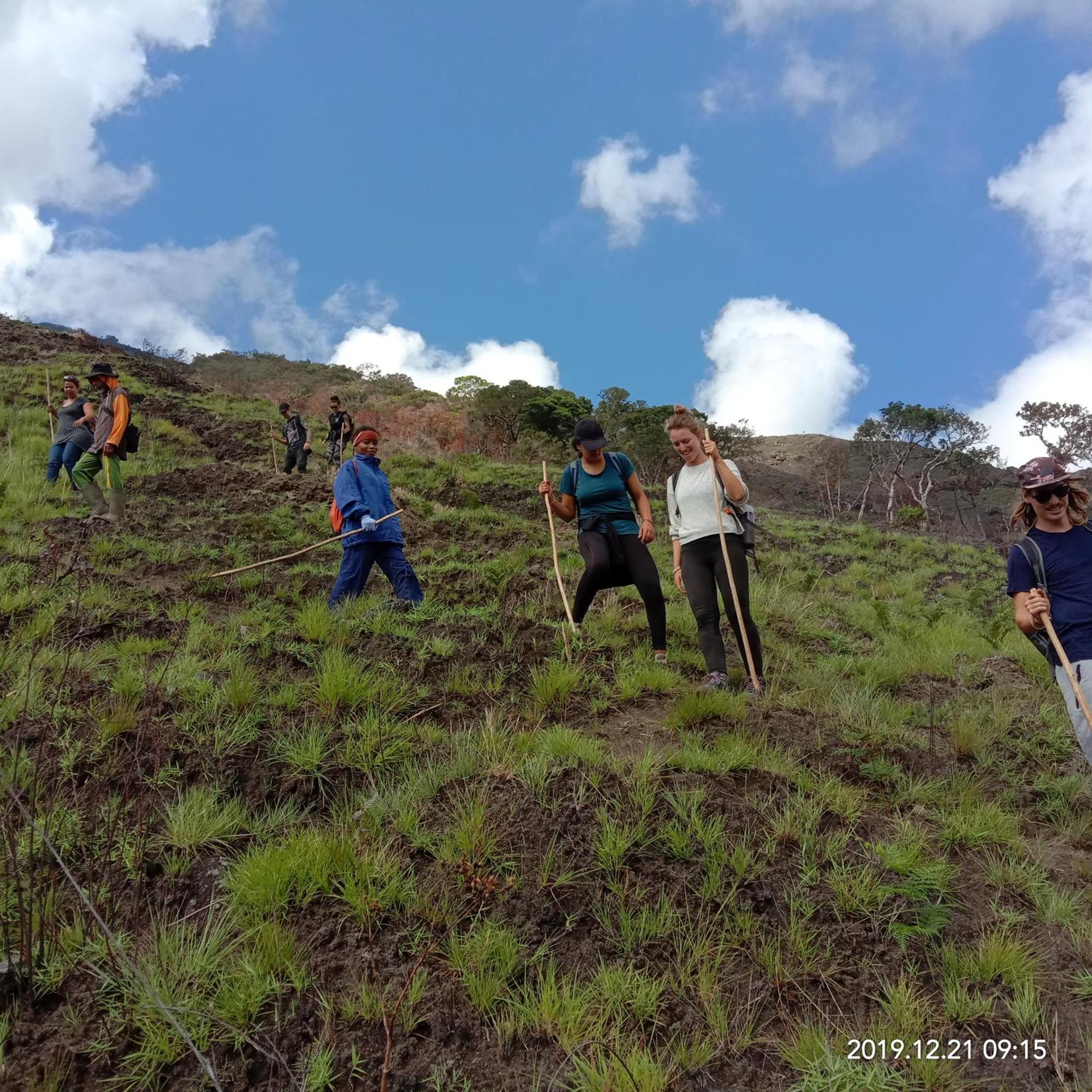 Home Stay Wolokoro Ecotourism Bajawa Værelse billede